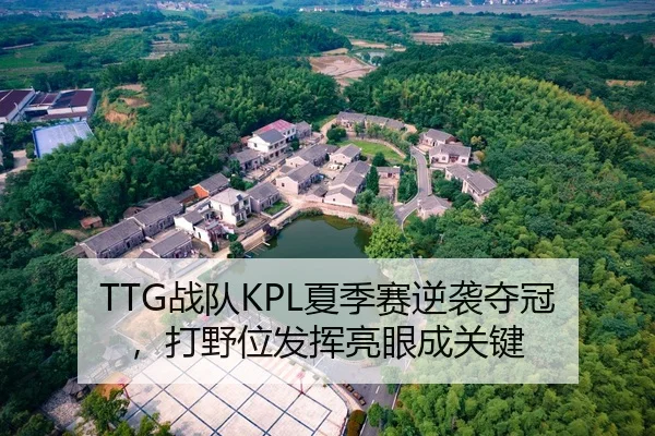 TTG战队KPL夏季赛逆袭夺冠，打野位发挥亮眼成关键