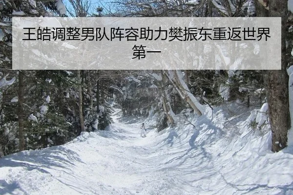 wang-hao-tiao-zheng-nan-dui-zhen-rong-zhu-li-fan-zhen-dong-chong-fan-shi-jie-di-yi-2-280.jpg