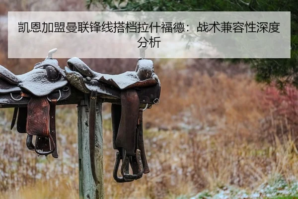 凯恩加盟曼联锋线搭档拉什福德：战术兼容性深度分析